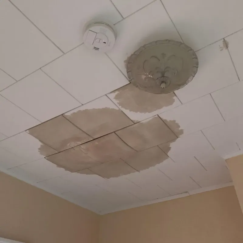 Ceiling Water Damage Repair in Nappanee, IN
