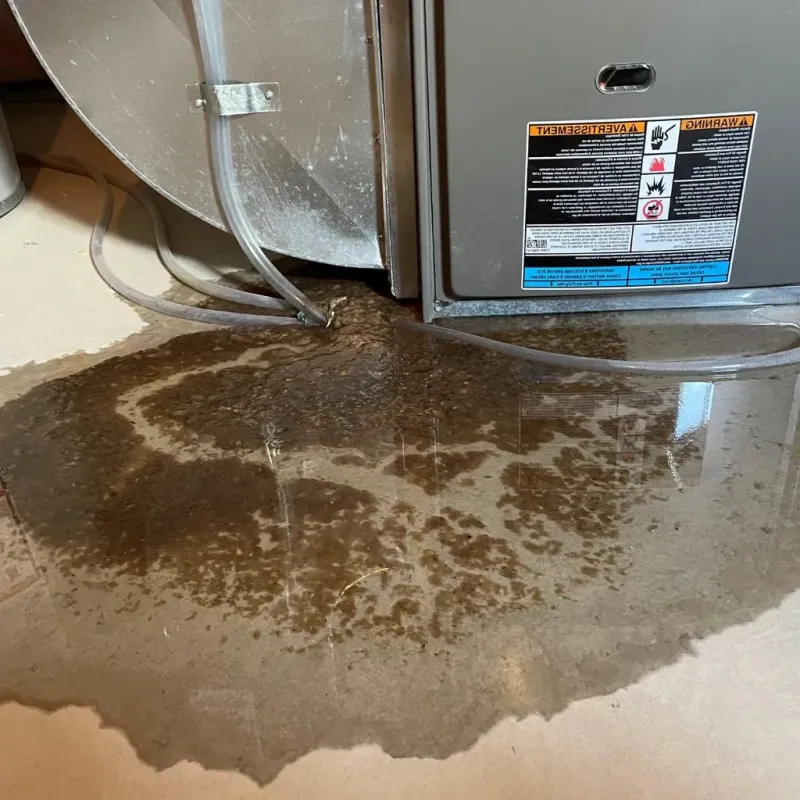 Pipe Burst and Leak Restoration in Nappanee, IN